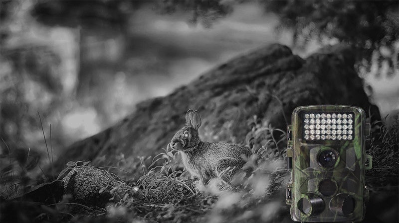Outdoor Wildlife Hunting Camera