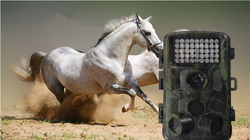 Outdoor Wildlife Hunting Camera